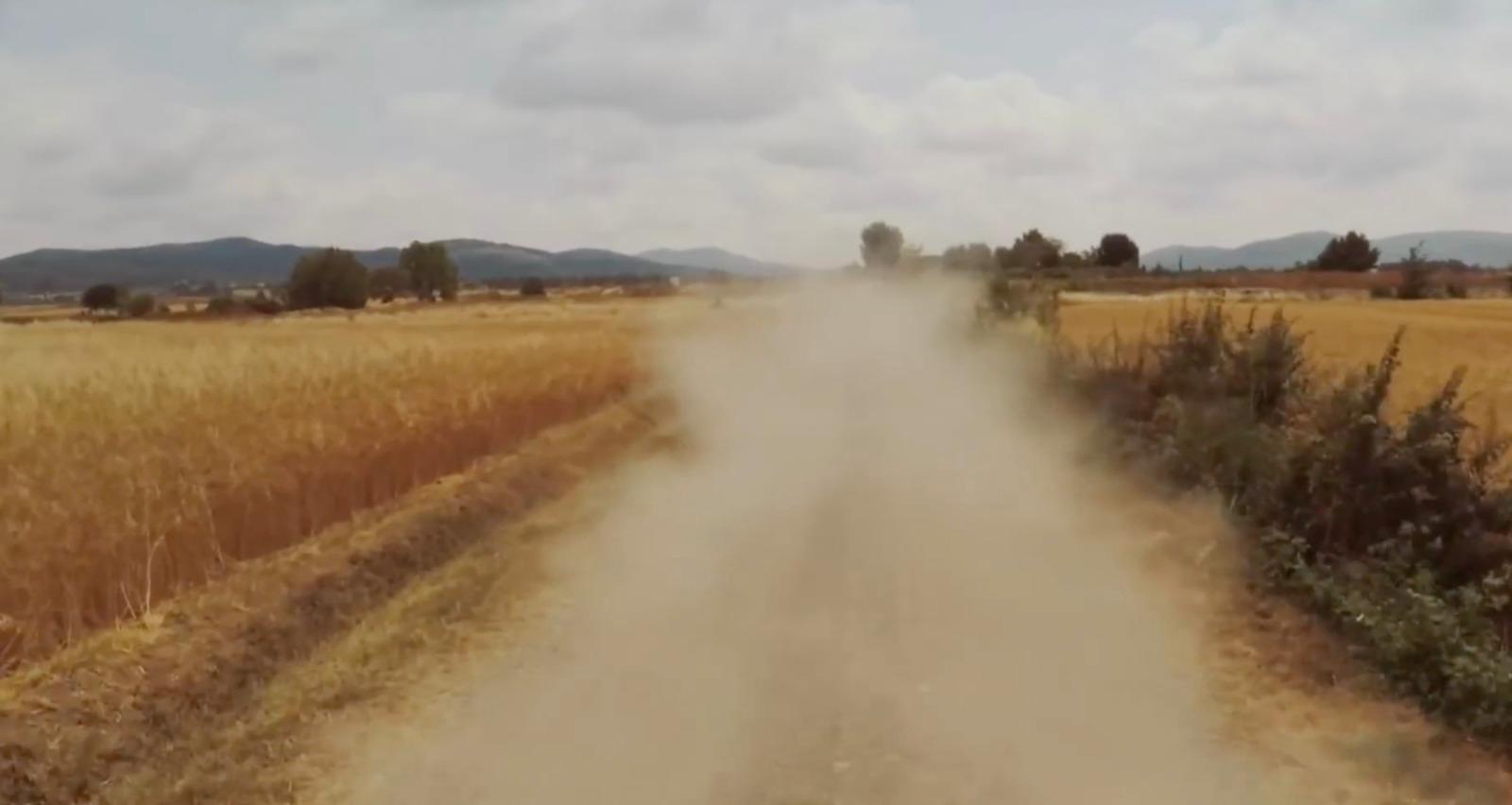 a dirt road in the middle of a wheat field