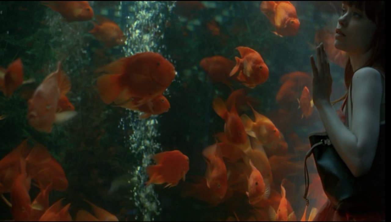 a woman standing in front of a fish tank