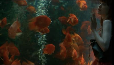 a woman standing in front of a fish tank