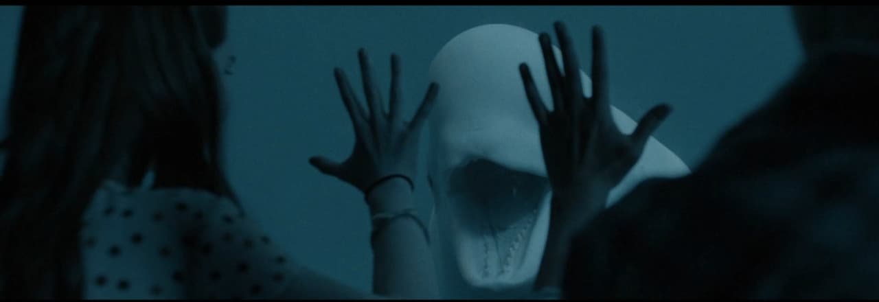 a woman holding a fake skull in her hands