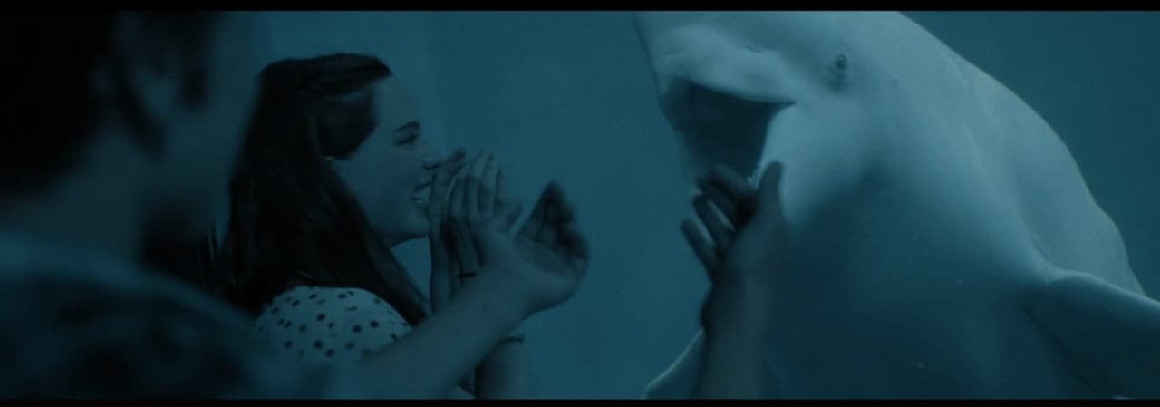 a woman standing next to a white shark in a blue room
