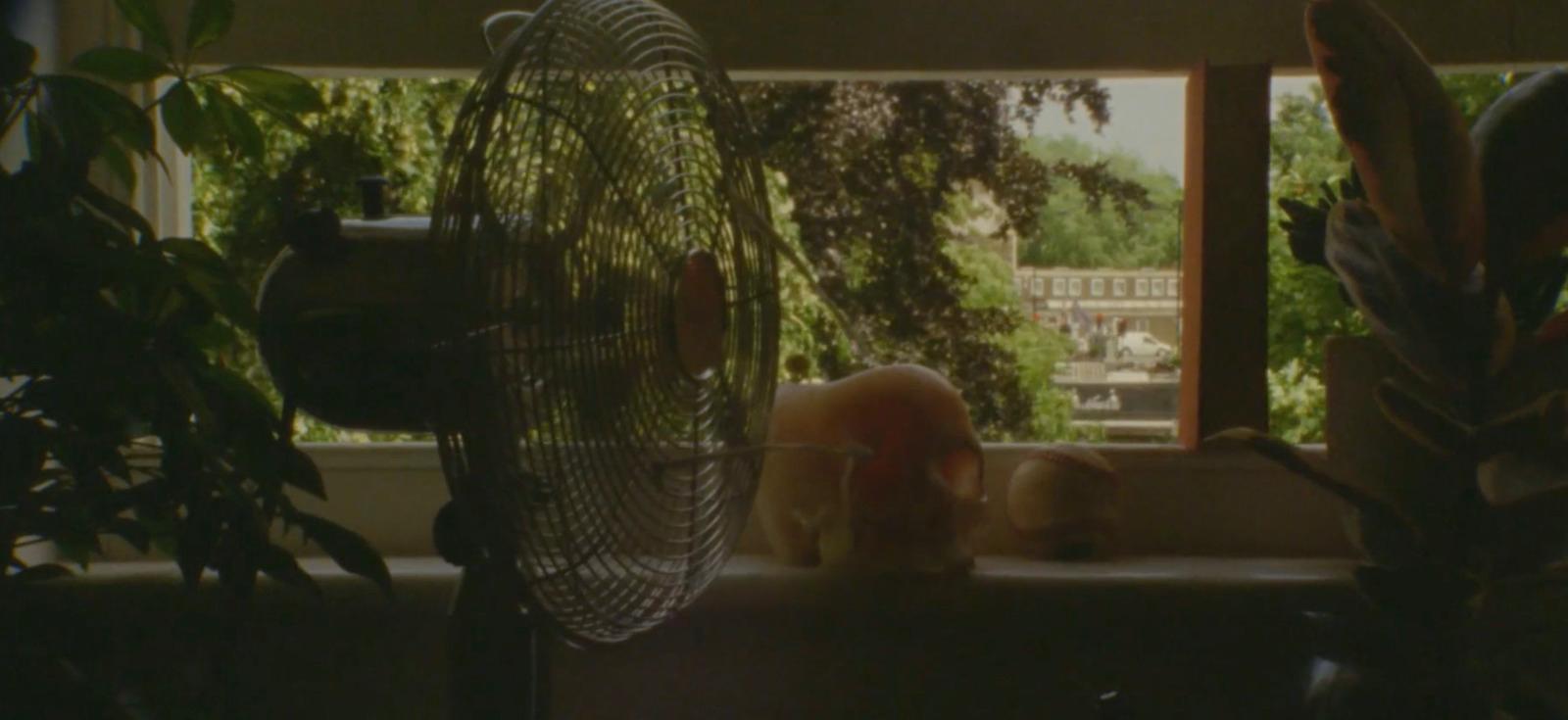 a cat sitting in a window sill next to a fan