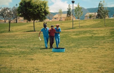 a group of people in animal costumes playing frisbee