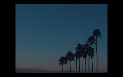 a row of palm trees in front of a blue sky