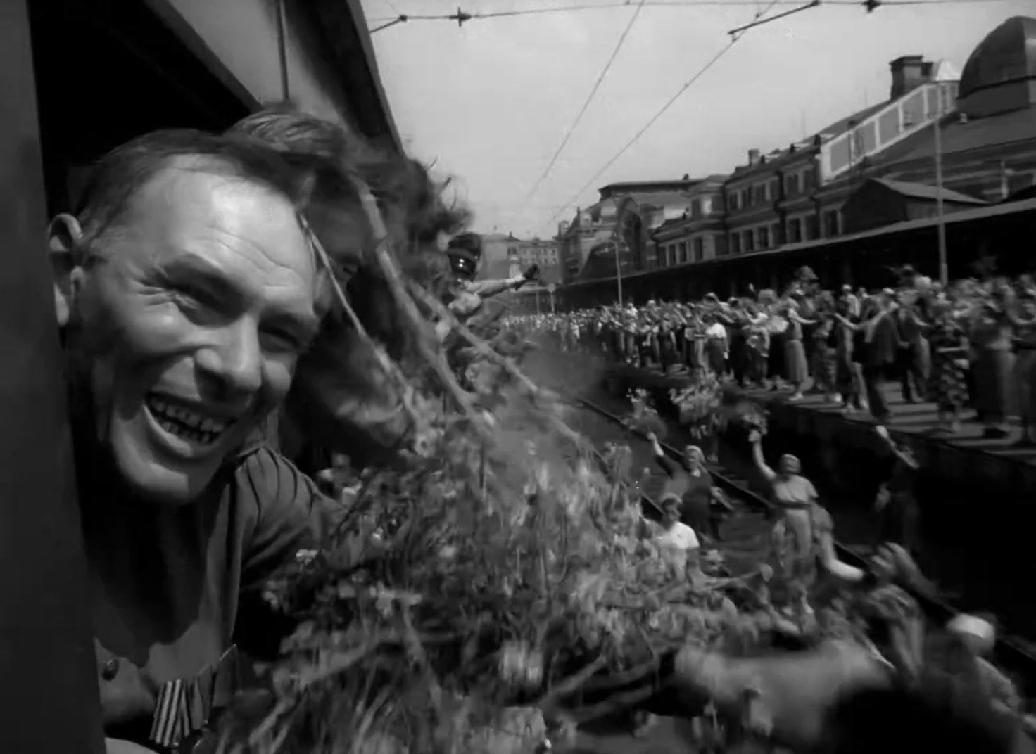 a man smiles as he holds a bunch of plants