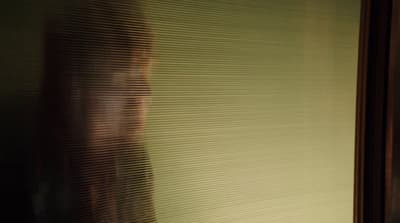 a woman standing in front of a window with blinds