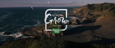 an aerial view of the ocean with the words, the water is great