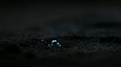 a blurry image of a small white object in the dark
