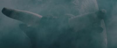 a polar bear is standing in the fog