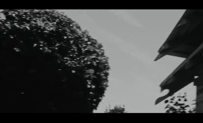 a black and white photo of a building and a tree