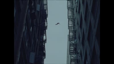 an airplane flying over a city with tall buildings
