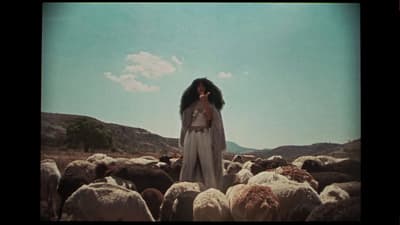 a woman standing in front of a herd of sheep