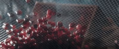 a bunch of red flowers behind a mesh screen