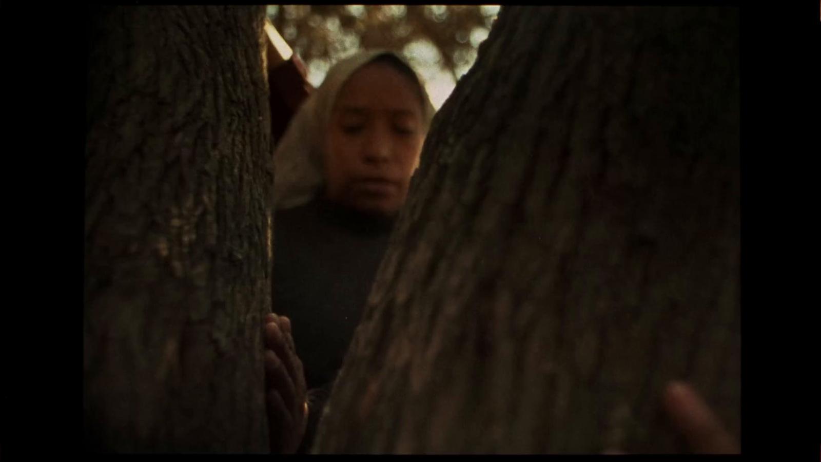 a man standing between two trees in a forest