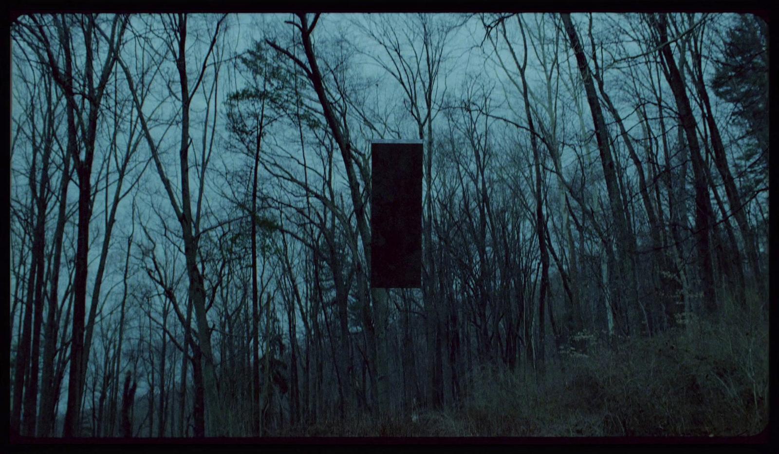 a dark forest filled with lots of tall trees