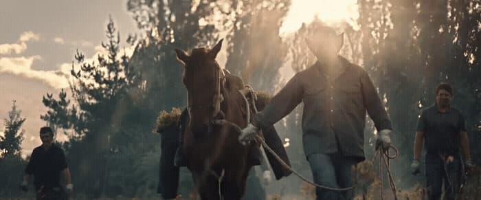 a group of people walking a horse through a forest