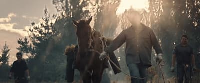 a group of people walking a horse through a forest