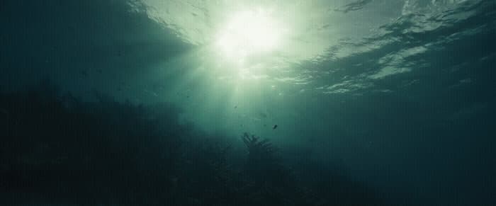 the sun shines brightly through the water