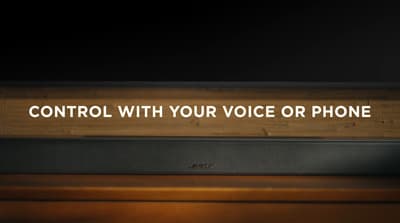 a sign that says control with your voice or phone