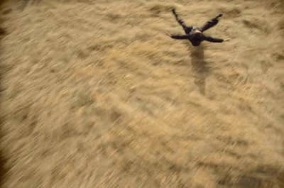 a bird flying over a dry grass field