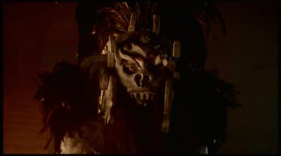 a creepy looking mask with feathers on it