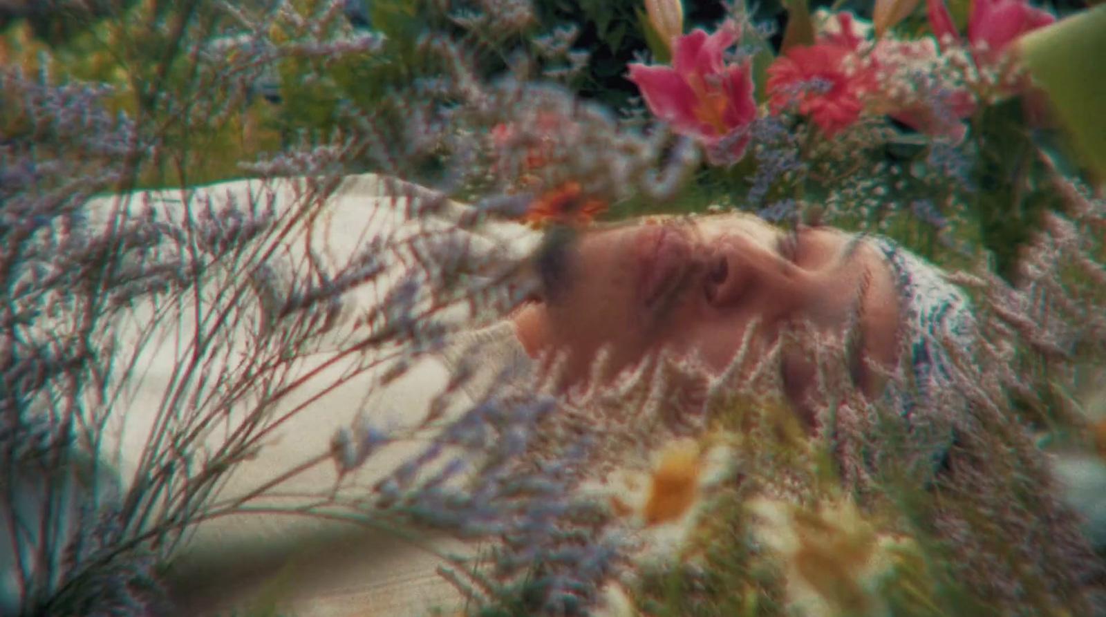 a blurry image of a person laying in a field of flowers