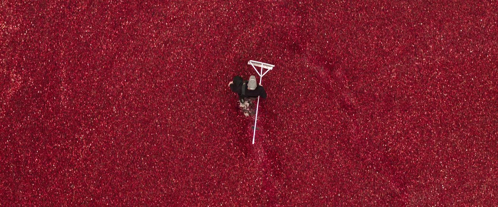 an aerial view of a person riding a snowboard