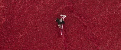 an aerial view of a person riding a snowboard