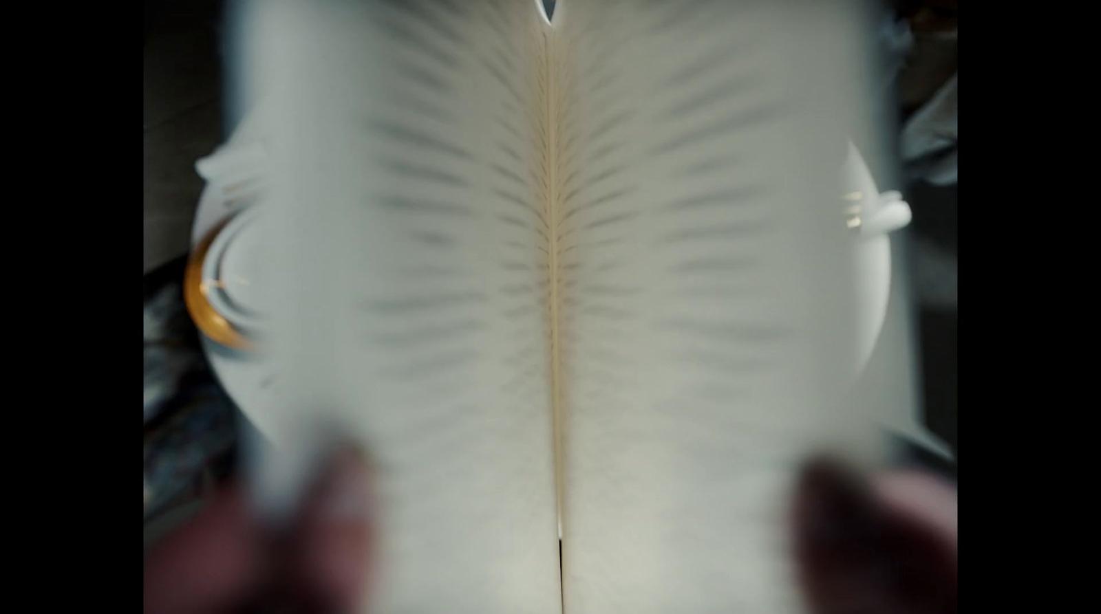a close up of a person holding a book