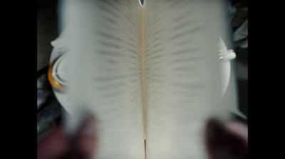 a close up of a person holding a book