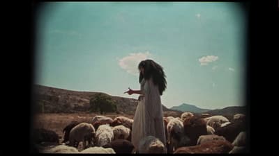 a woman standing in front of a herd of sheep