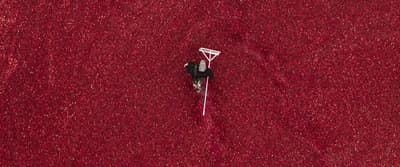 an aerial view of a person riding a boat on a red carpet