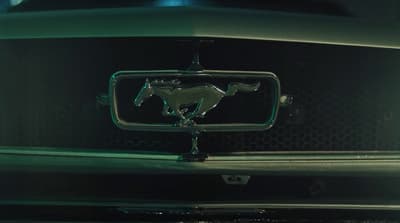 a close up of a horse emblem on a car