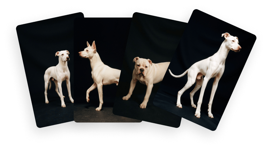 Brand-consistent AI image generation