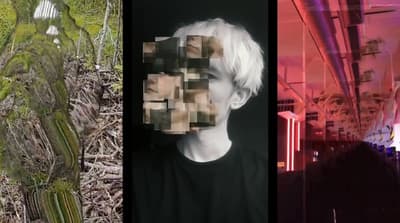 a collage of three images of a man's face