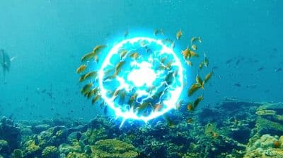 Cyan | color meaning, hex code, palettes, images